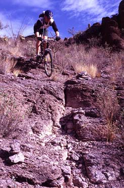 Do you call this a trail?