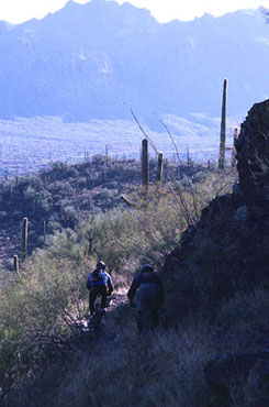 Early morning on the Brown Mountain Trail