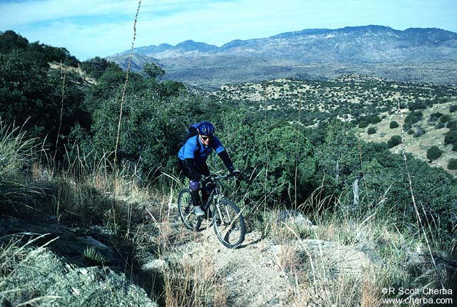 Rincon jeep trail #2