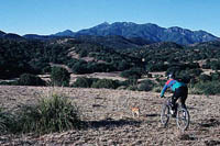 Arizona Trail