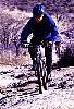 Speed Racer