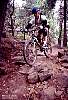 Obstacle course rocks